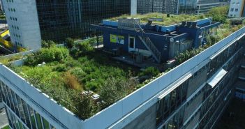 Effektive Lösungen zur Wasserspeicherung in Städten der (Foto: Optigrün international AG)